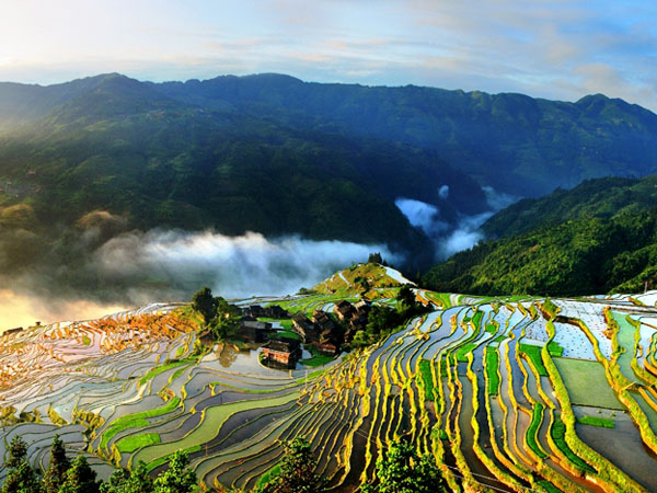 7 Days Guizhou In-Depth Ethnic Tours with Jiabang Terraced Fields