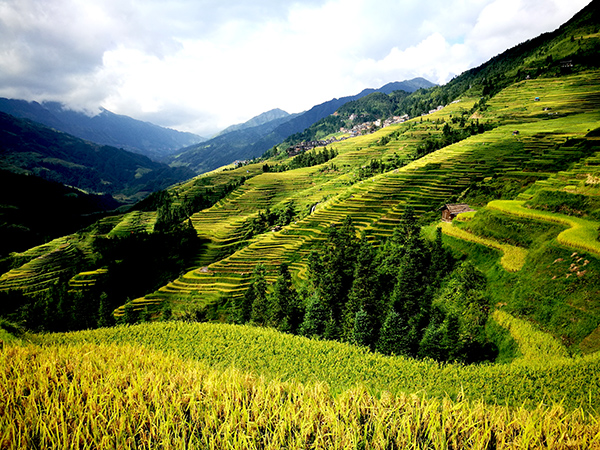 5 Days Tour: Kaili/Langde/Jiabang/Zhaoxing